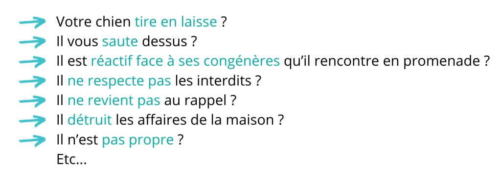Capture problématique des chiens pour éducation canine par Rox et Cie